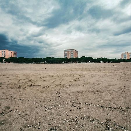 Studio Les Pieds Dans L'Eau Argeles Sur Mer المظهر الخارجي الصورة