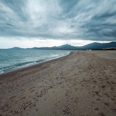 Studio Les Pieds Dans L'Eau Argeles Sur Mer المظهر الخارجي الصورة