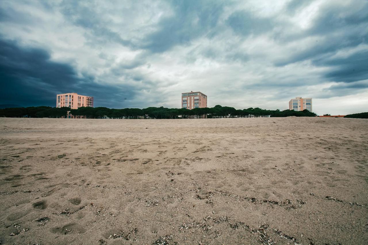 Studio Les Pieds Dans L'Eau Argeles Sur Mer المظهر الخارجي الصورة
