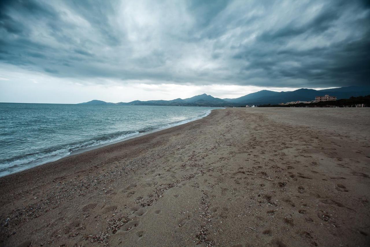 Studio Les Pieds Dans L'Eau Argeles Sur Mer المظهر الخارجي الصورة