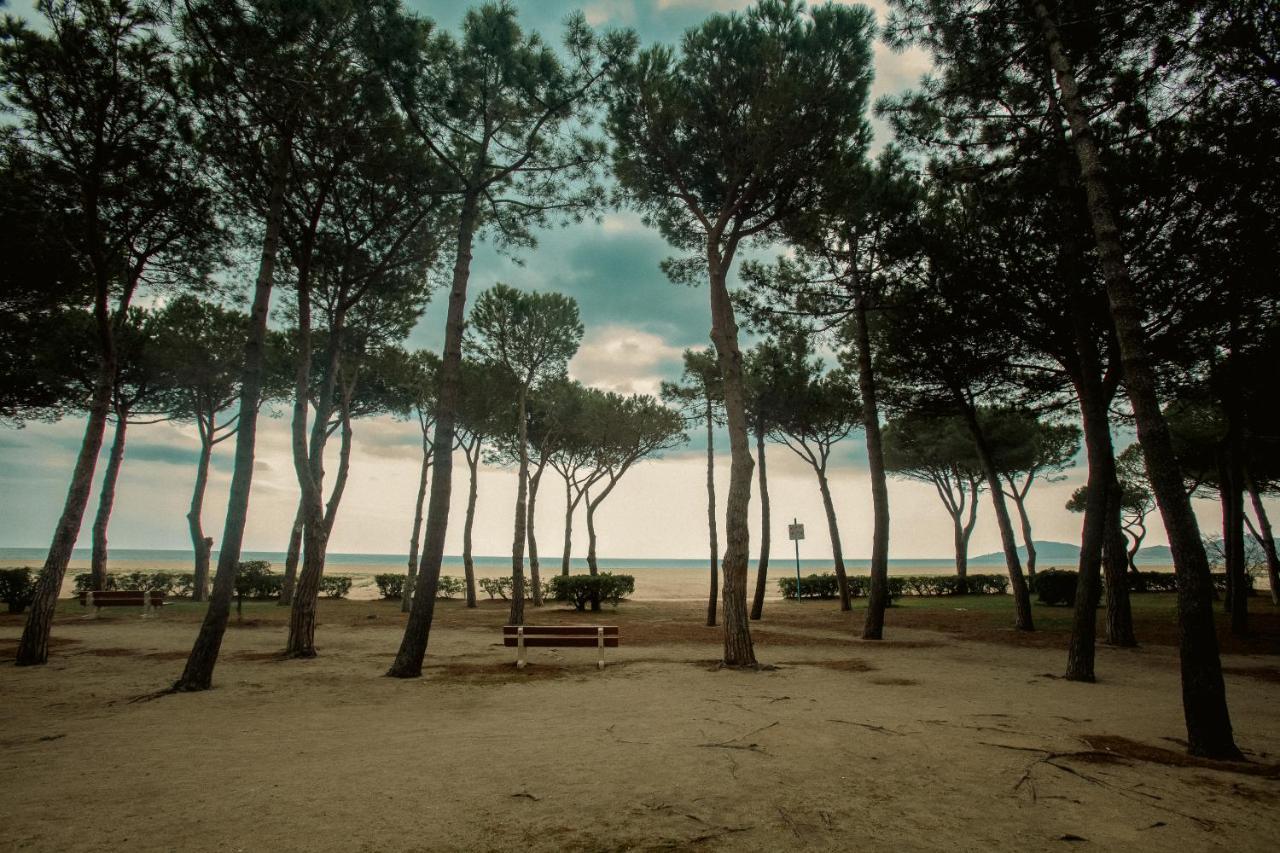 Studio Les Pieds Dans L'Eau Argeles Sur Mer المظهر الخارجي الصورة